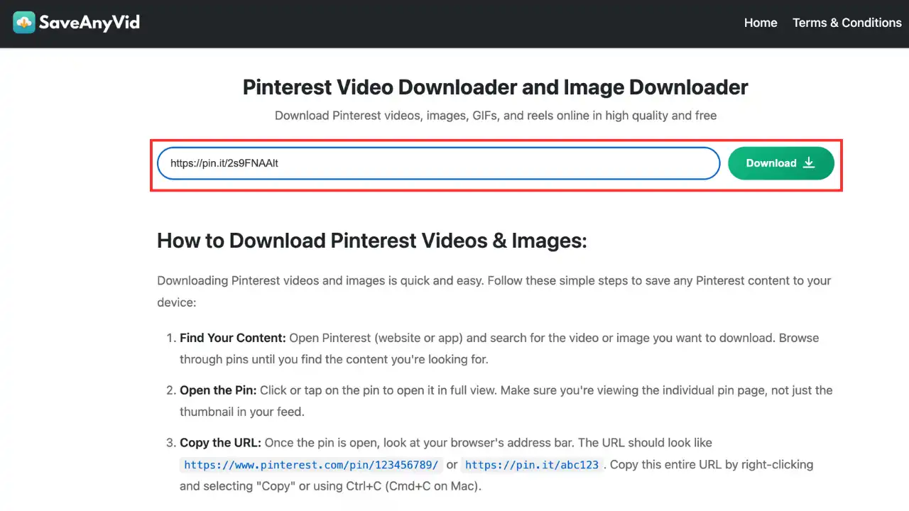 Step 2: Paste URL